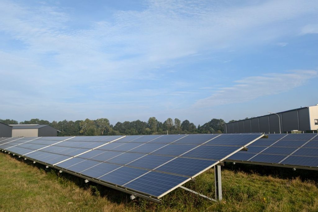 Solar panels in a field with buildings and trees in the background.