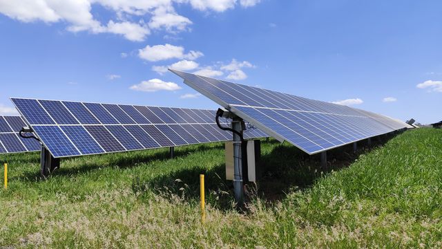 Solar panels on a grassy field with a blue sky.
