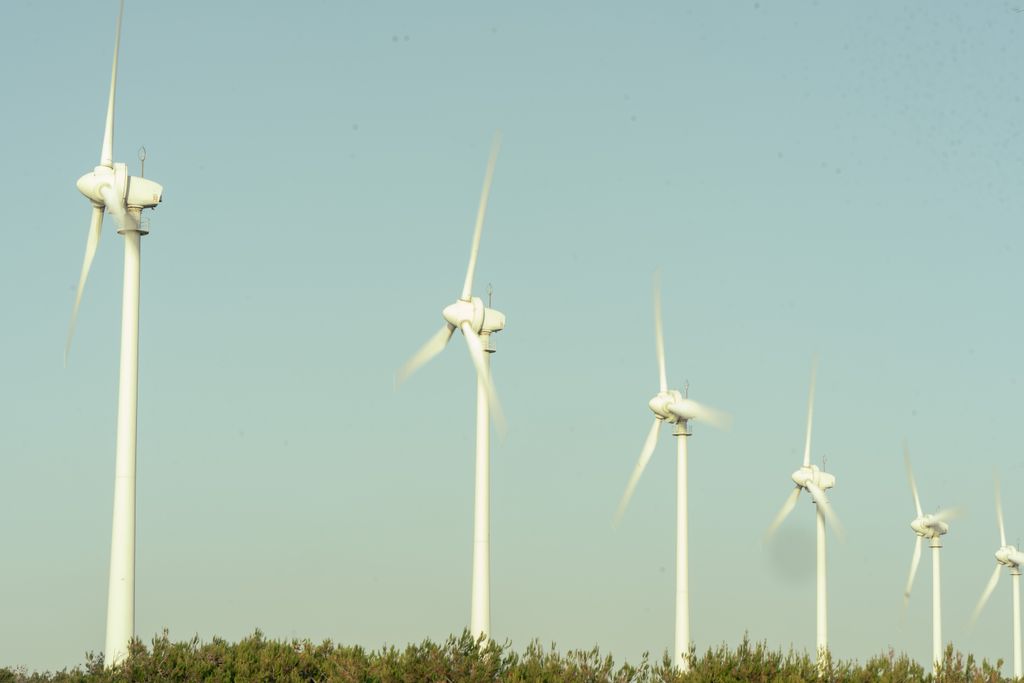 Wind turbines rotating against a clear sky over trees.